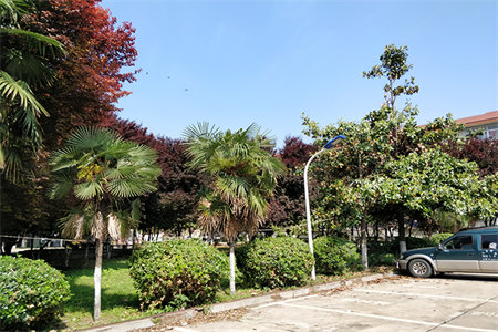 改水电需要拆地板吗